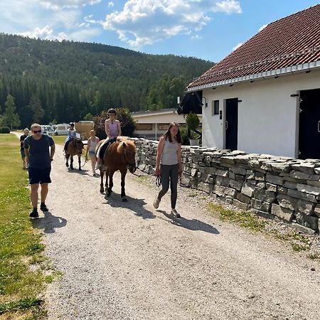 Hegna Camping Seljord Exteriér fotografie