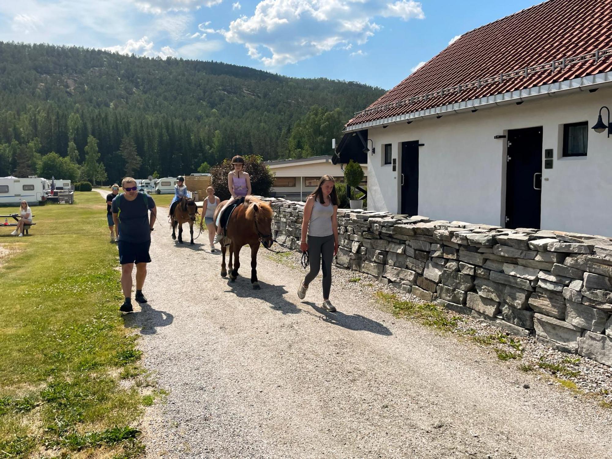 Hegna Camping Seljord Exteriér fotografie